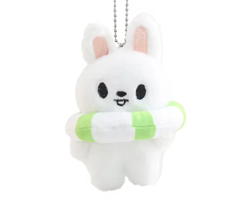 Stray kids - SKZOO Summer